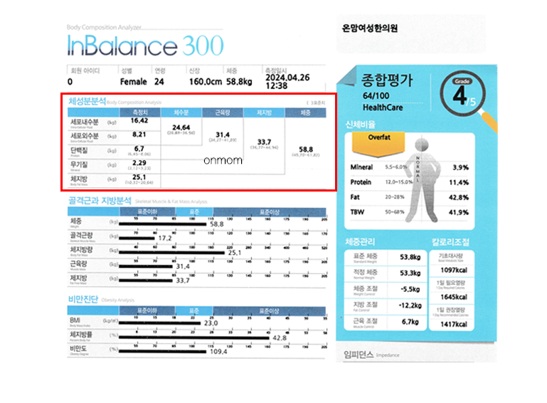 다이어트 알약(슬림정) 및 비만침 2개월 (-8kg)