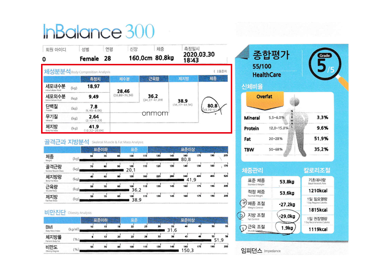 다이어트 한약 및 식단 3개월 (-9kg)