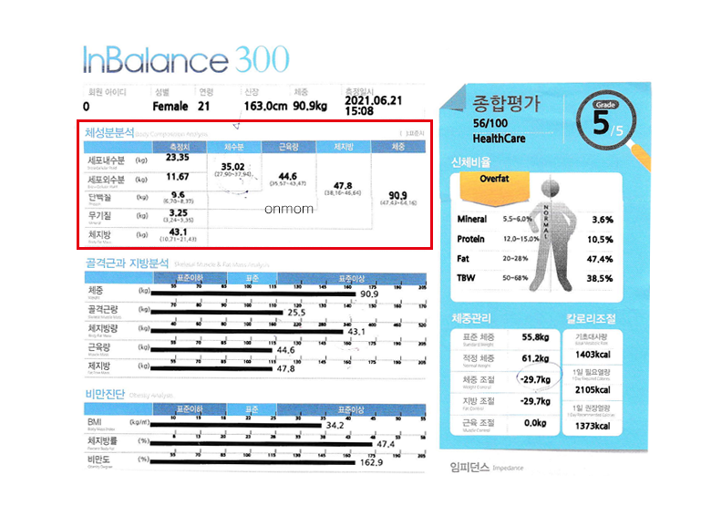 다이어트 한약 및 식단 7개월(-20kg)