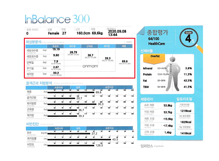 다이어트 한약 및 식단 5개월 (-11kg)