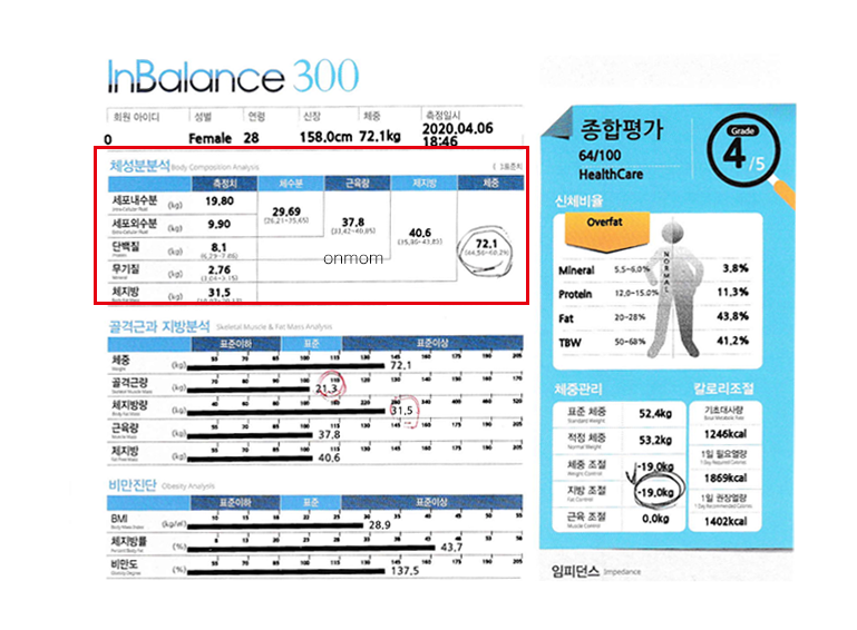 다이어트 한약 및 식단 2개월 (-10kg)