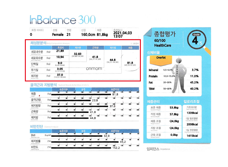 다이어트 한약 및 식단 5개월 (-22kg)