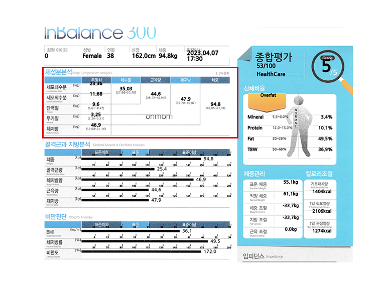 다이어트 한약 및 식단 2개월 (-9kg)