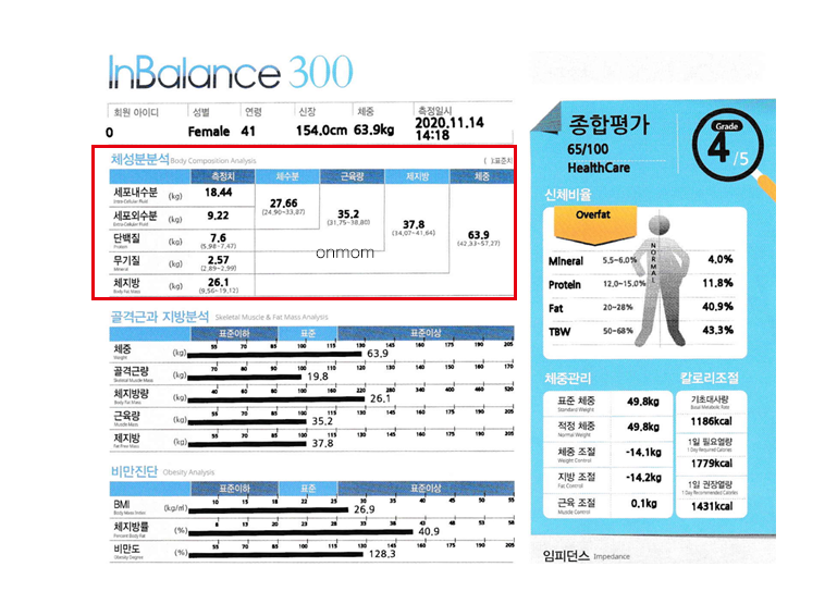 다이어트 한약 및 식단 5개월 (-8kg)