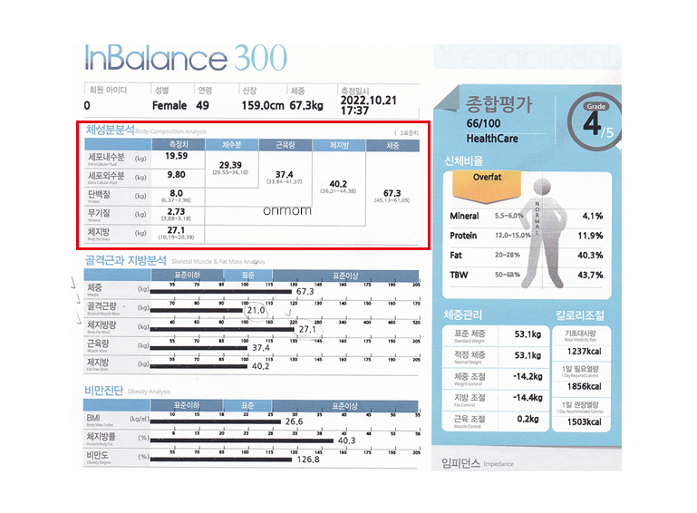 다이어트 알약(슬림정) 및 식단 6개월 (-11kg)