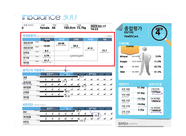 다이어트 알약(슬림정) 및 식단 6개월 (-12kg)
