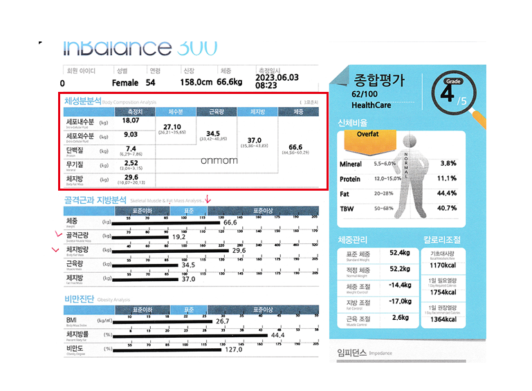 다이어트 알약(슬림정) 및 식단 3개월 (-5kg)