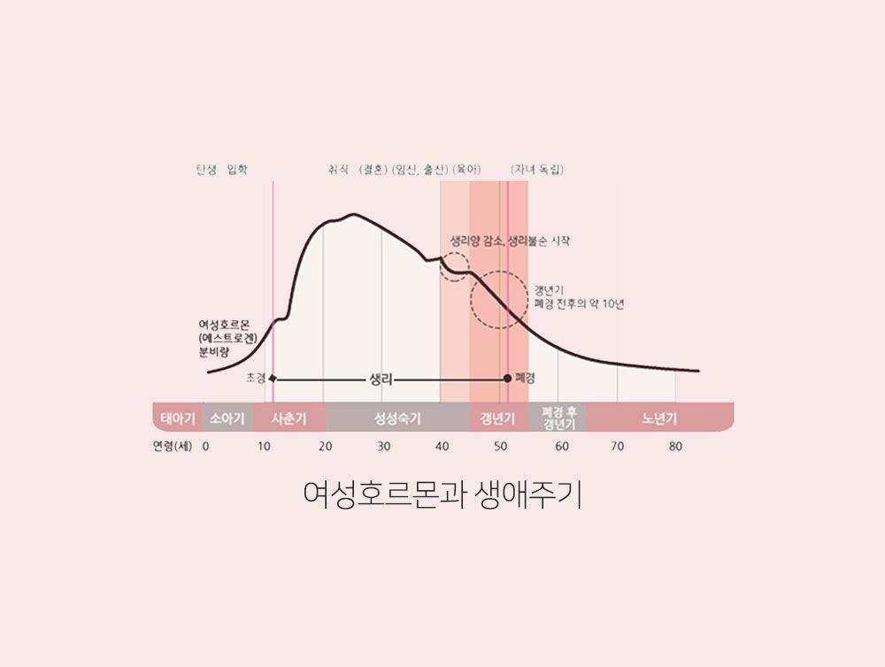 자궁내막증식증 이미지