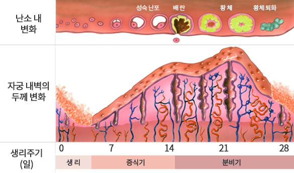 이미지입니다