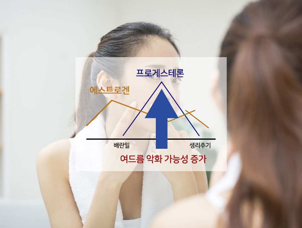이미지입니다