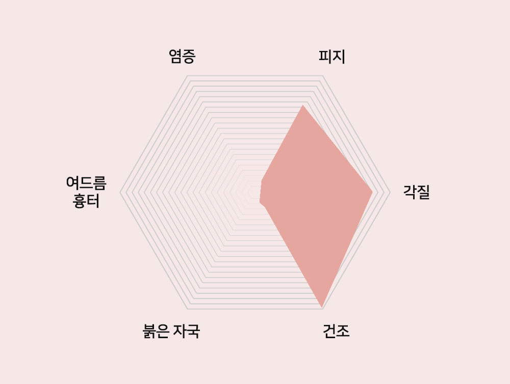 이미지입니다