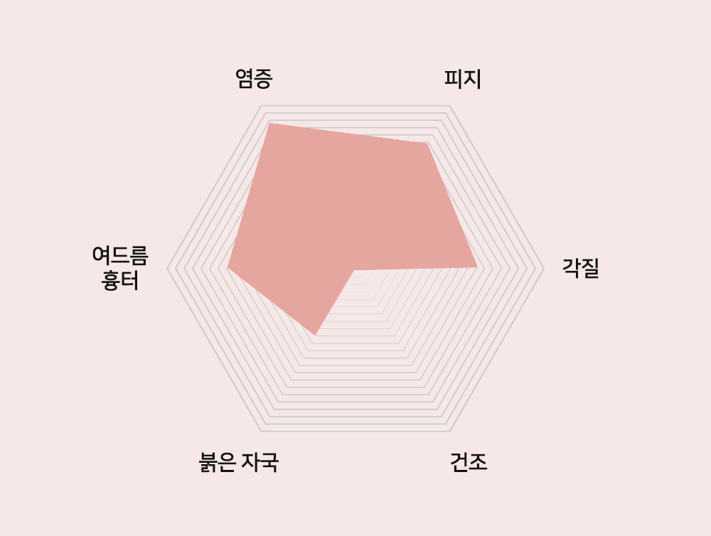 이미지입니다