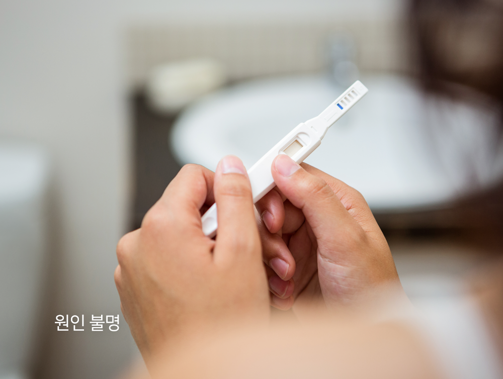 이미지입니다