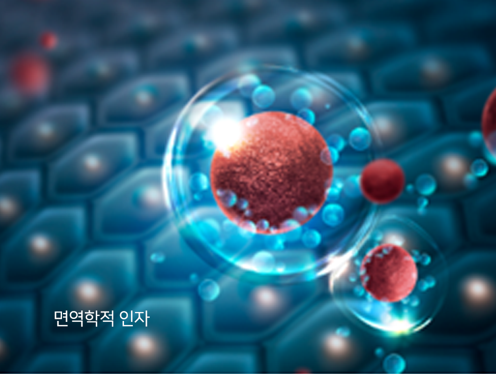 이미지입니다